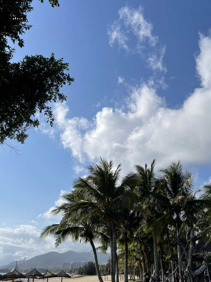 探寻海南小巷,秘密小店邂逅记