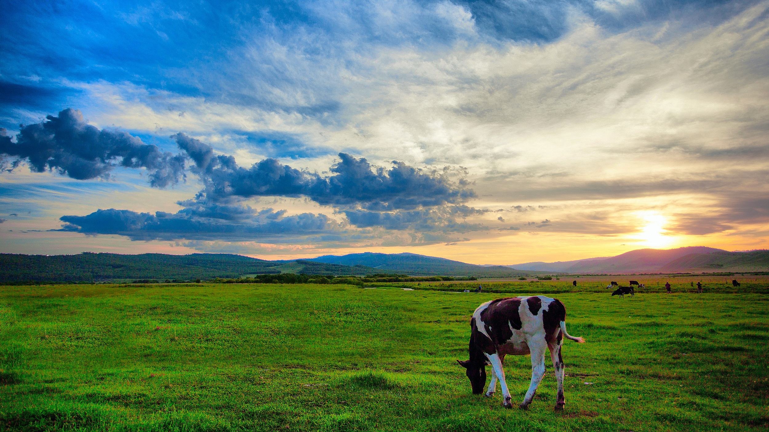 呼伦贝尔,自然美景的探索之旅,寻找内心的平和之地