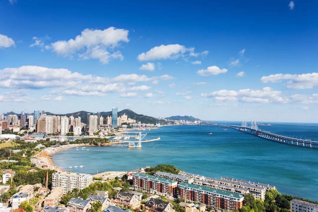 大连夏日微光，友情、家庭与陪伴的温馨画卷