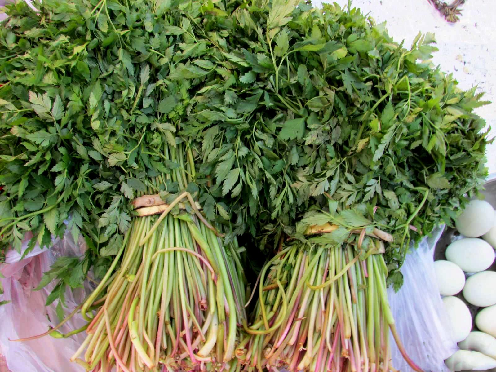 本溪,自然美景与人文魅力的完美融合