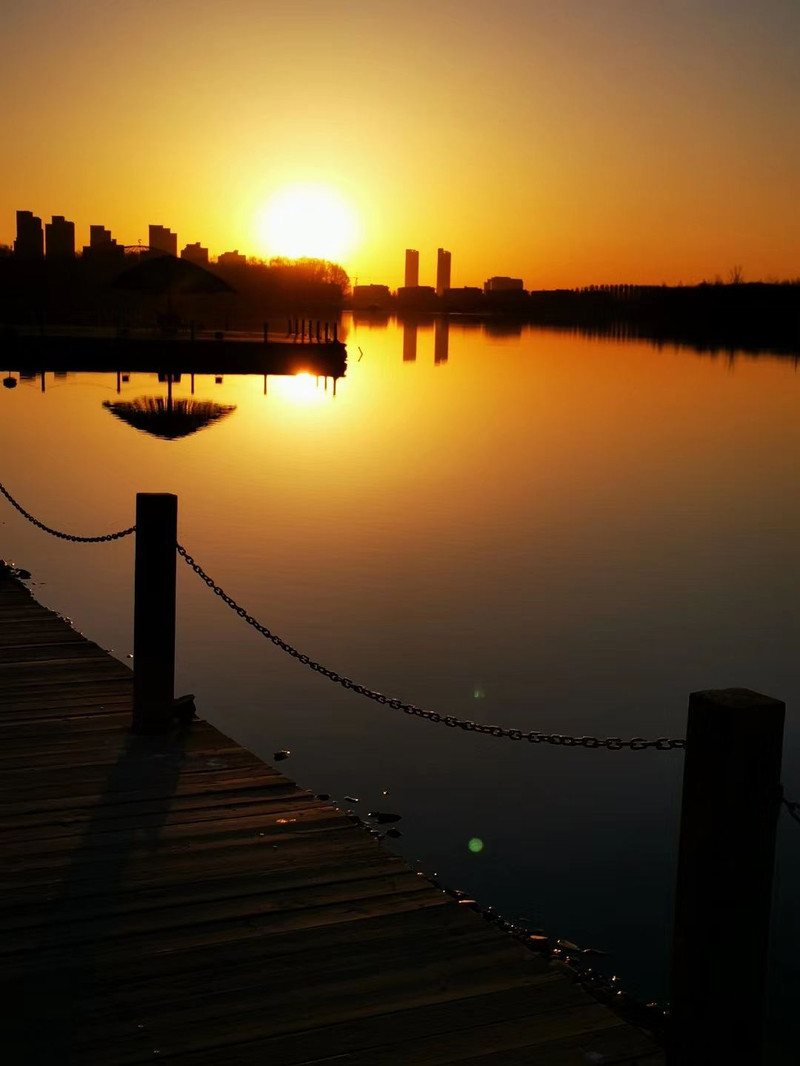 朝阳现象，一种视角下的深度探讨